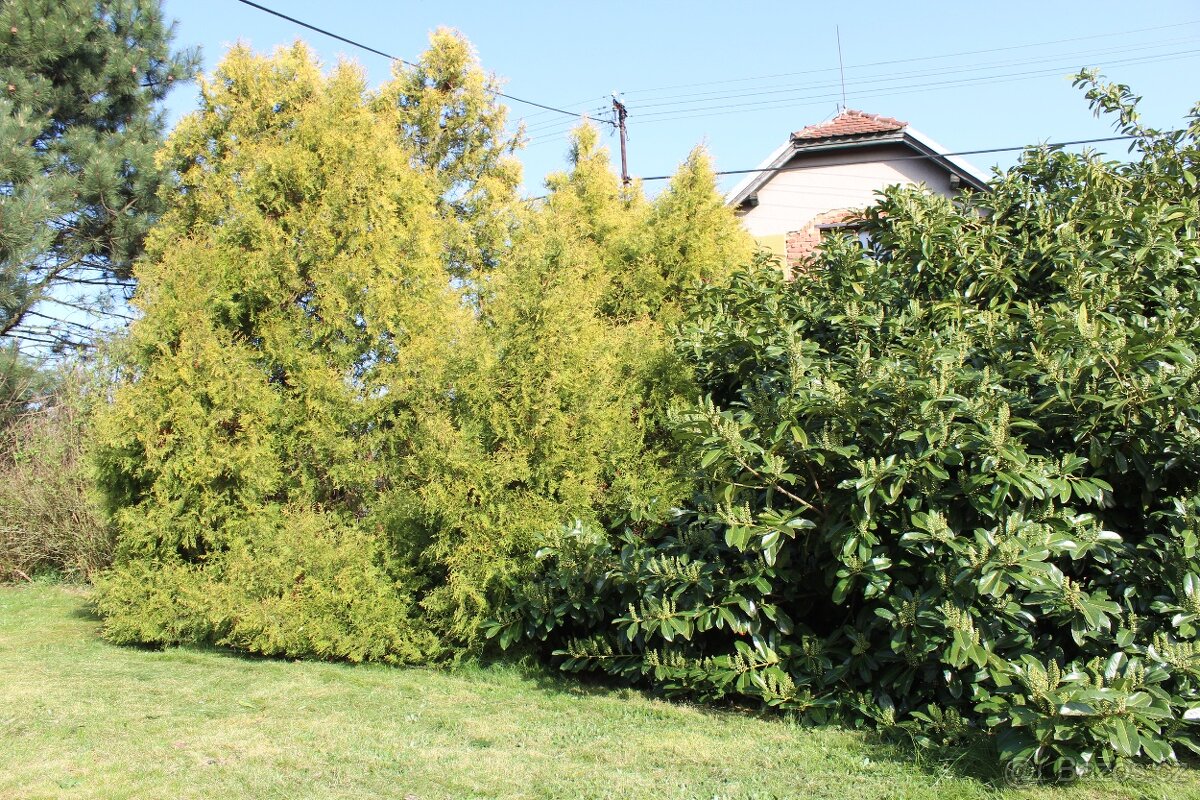 Služby pro chataře a chalupáře - 3