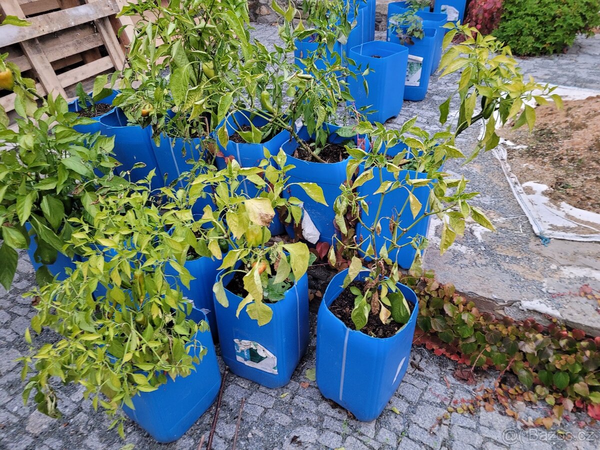 Pěstební nádoby - 3
