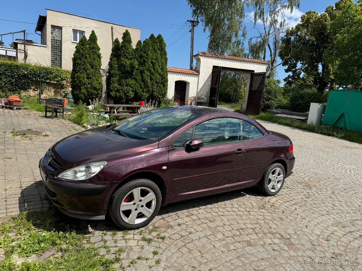 Peugeot 307 cc - 3