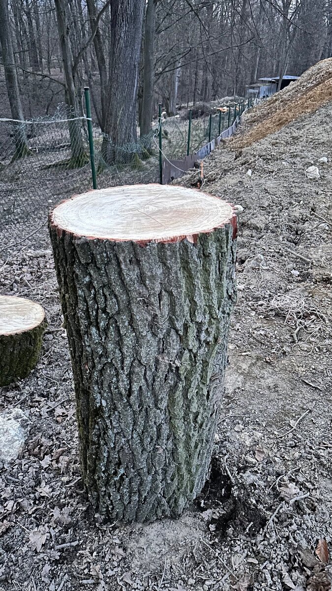 Špalek na štípaní - 3