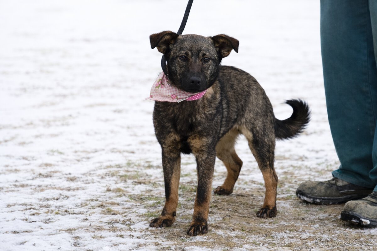 Jasabell rozkošne stenatko - 3