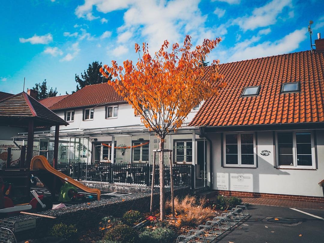 servírka - číšník - 3