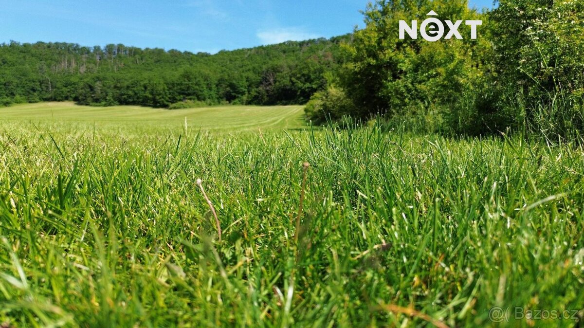 Prodej pozemek Lesy, 3149㎡ - 3