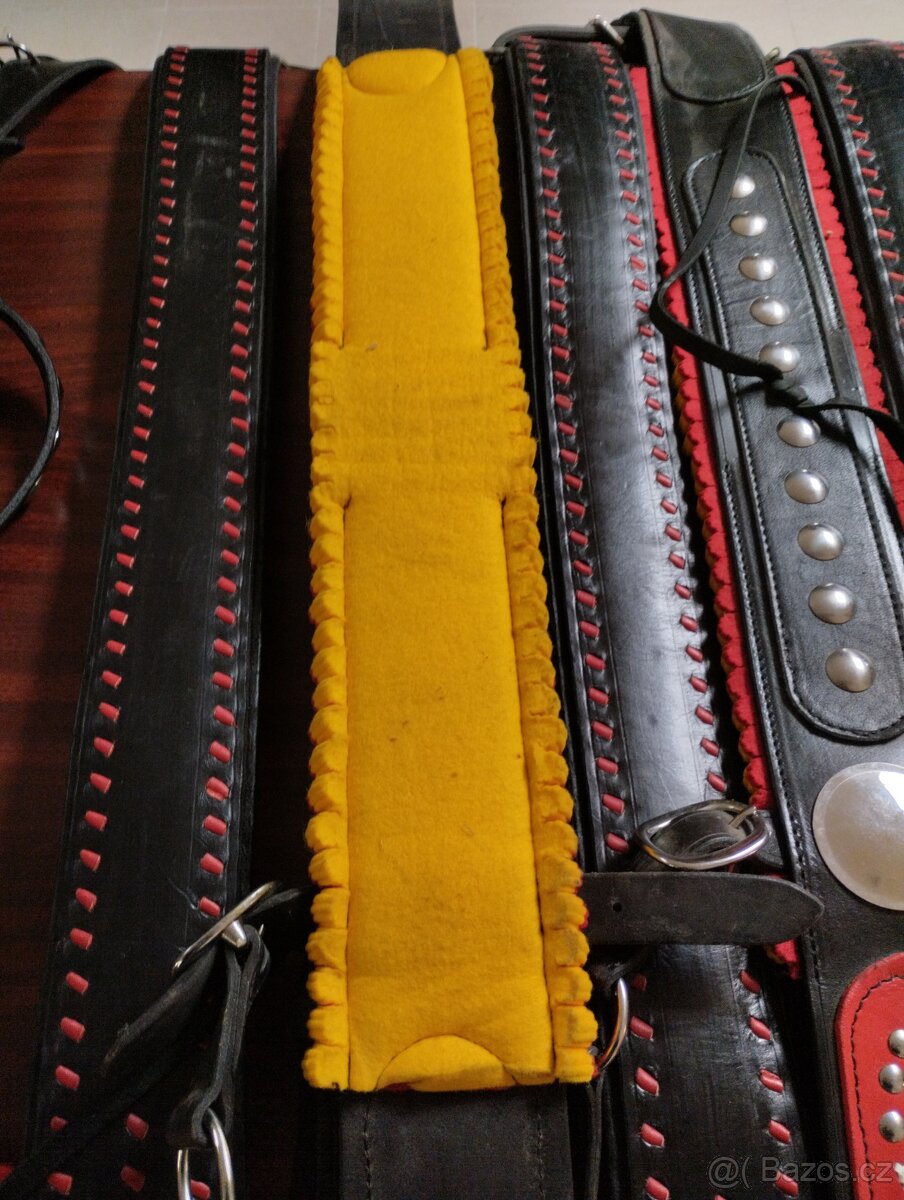 Chomoutový postroj - 3