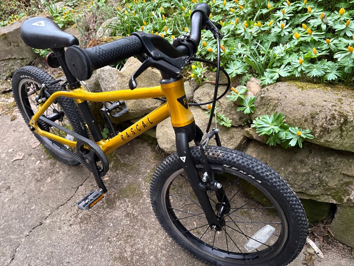 Kolo Rascal 16 Zlaté - 3