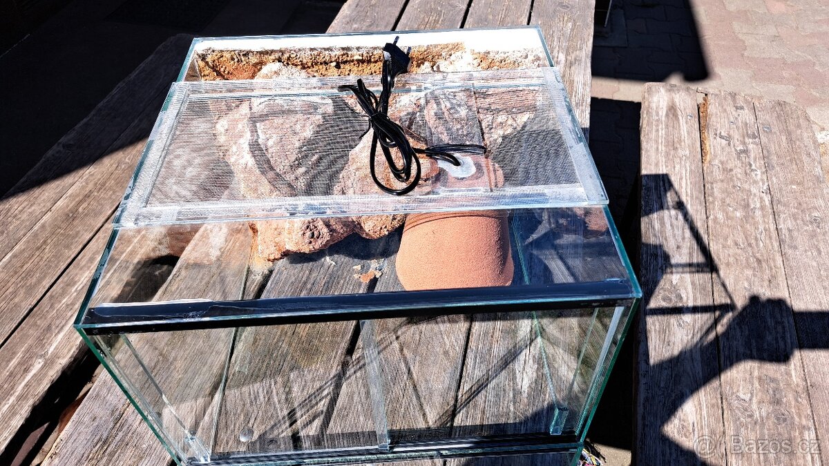 Terarium - 3