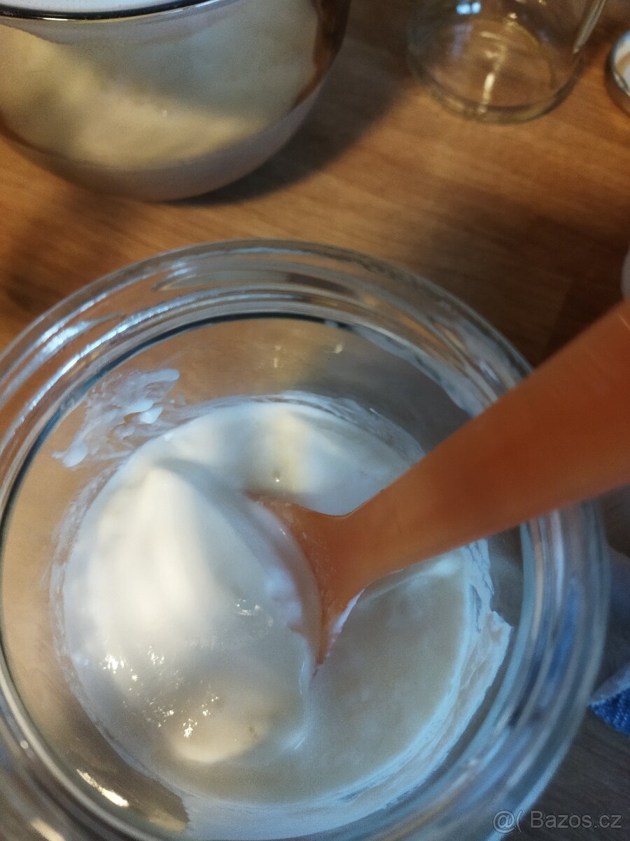 Tibetská houba na kefír - 3