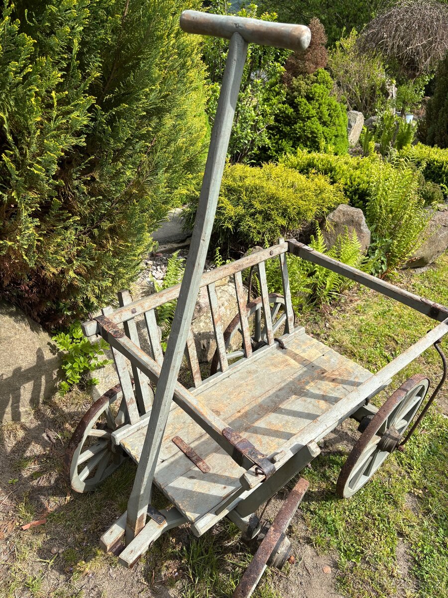 Starožitný žebřiňák - 3