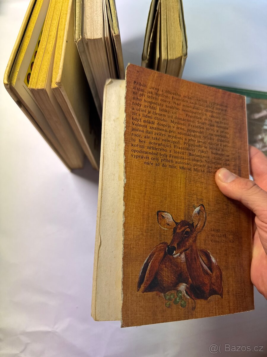 Myslivecká tematika - 3