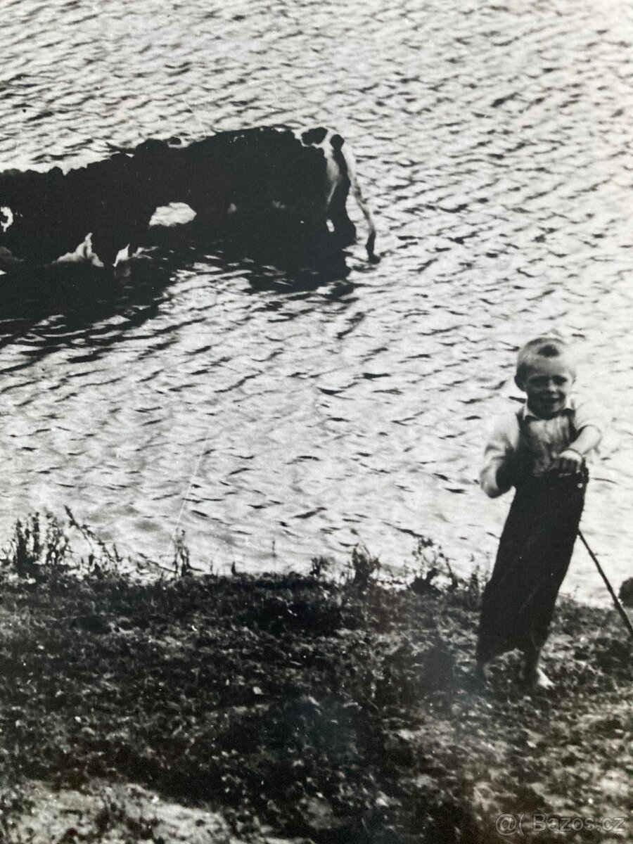 Irena Blühová - Najmladší pastier kráv - 3