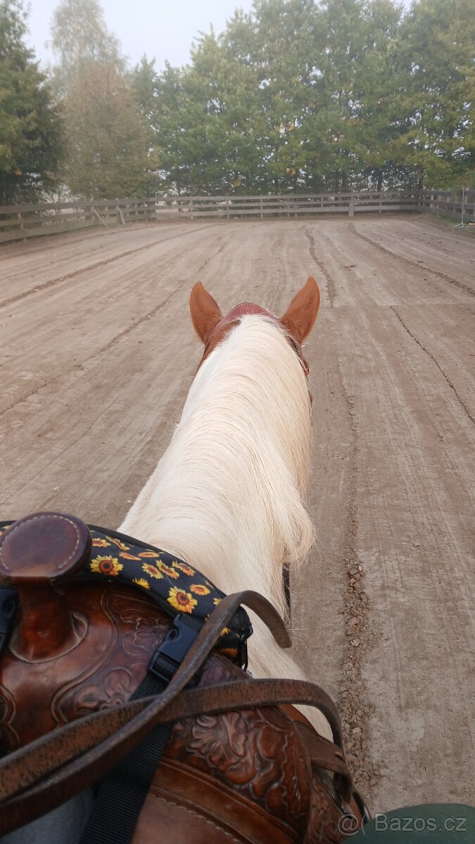 Pastevní Ustájení - 3