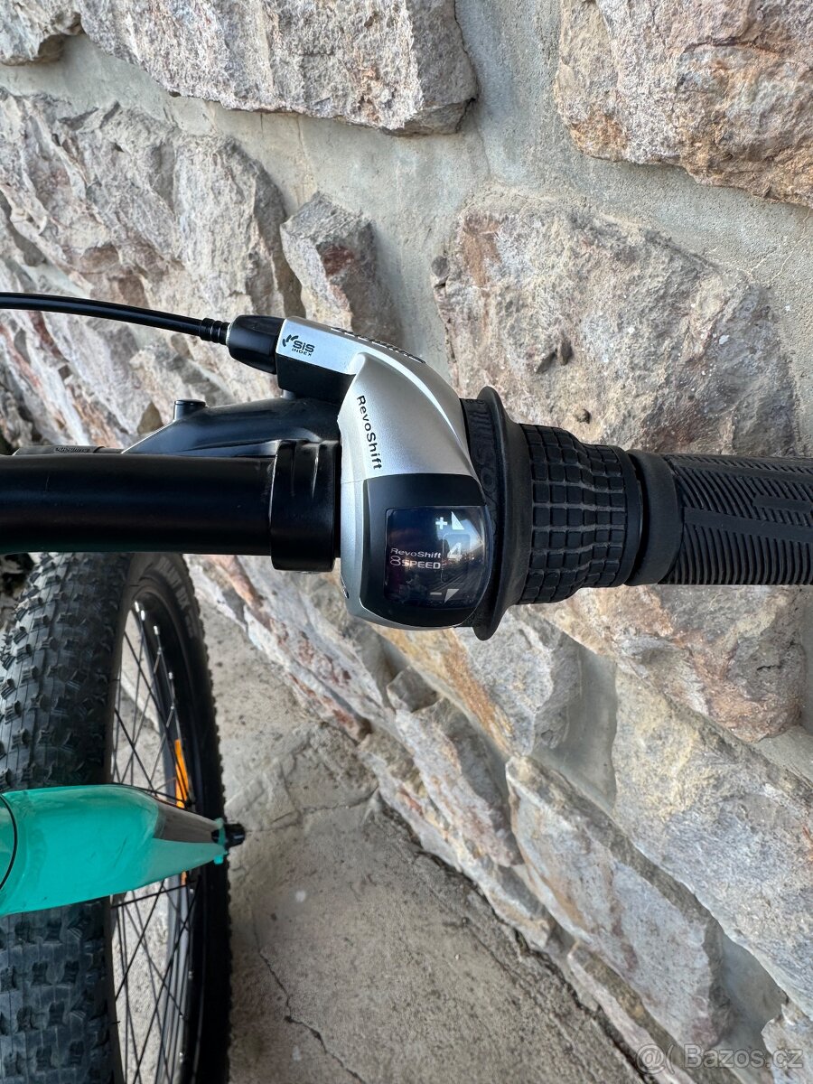 Scott Roxter 20” - 3