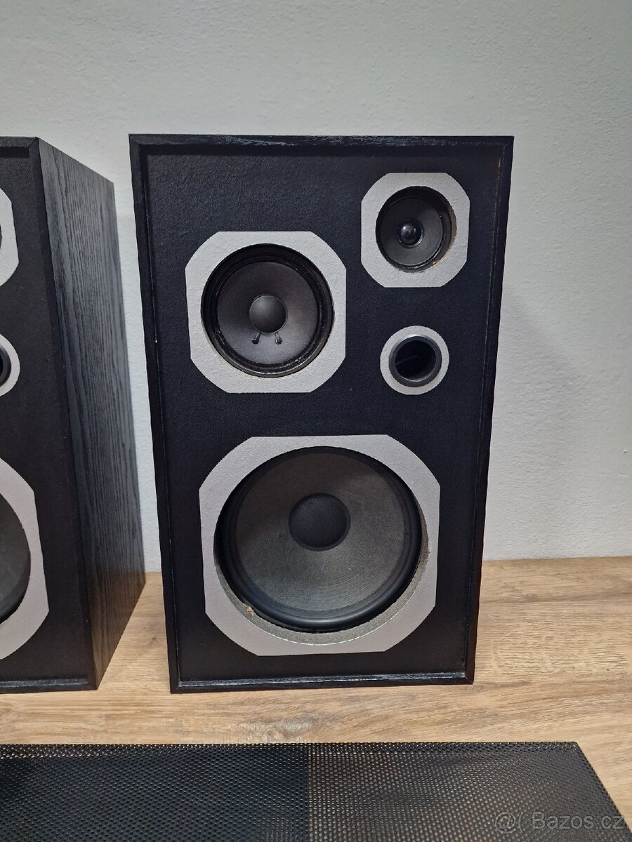 Reprobedny Pioneer - 3