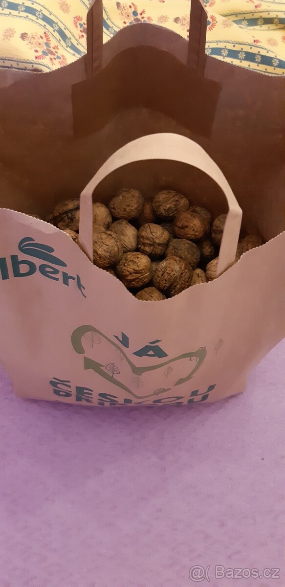 VLAŠSKÉ OŘECHY. - 3