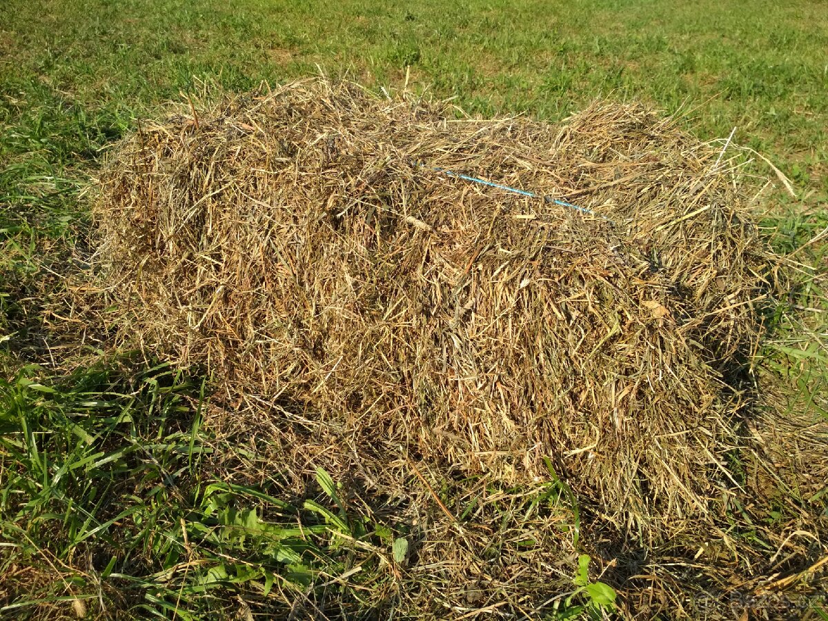 Prodám bio seno - 3