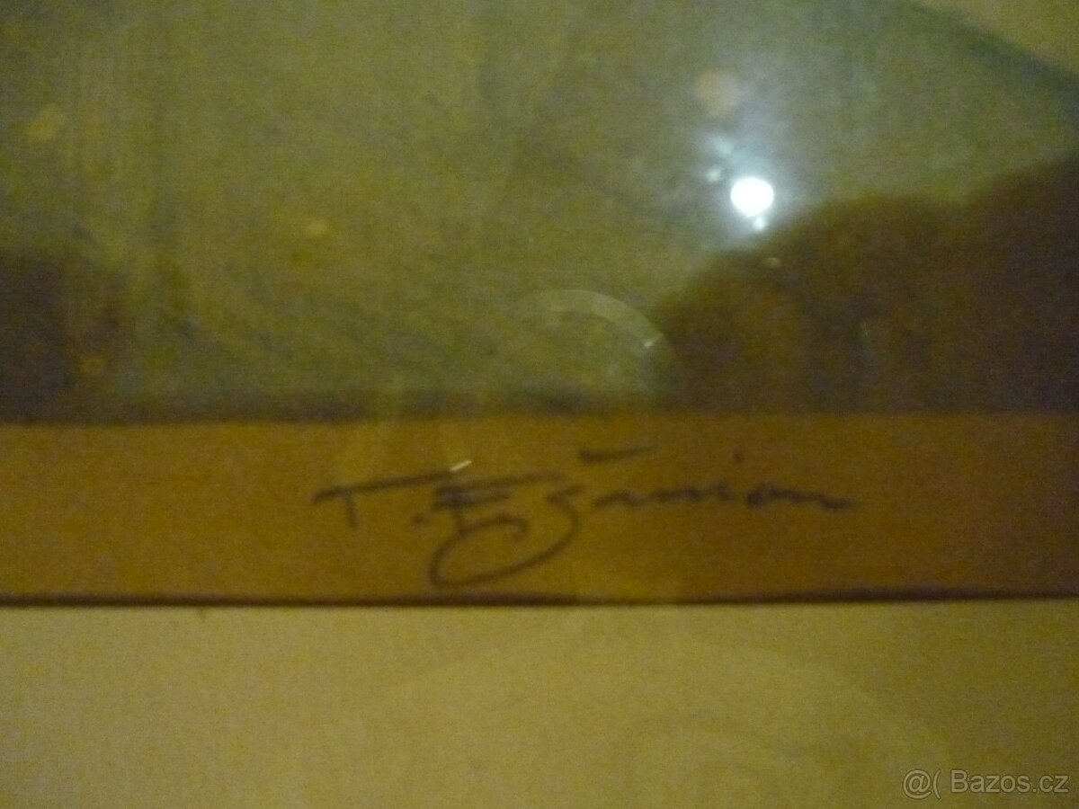 Obraz-František Tavík Šimon-1877-1942 - 3