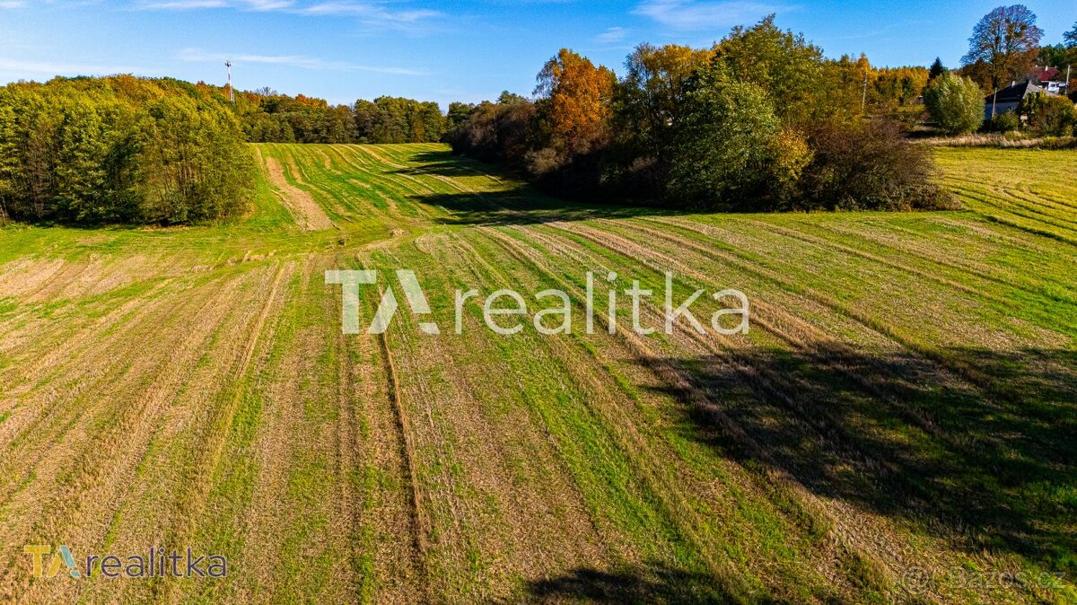 Prodej pozemek Pole Dětmarovice 73571 - 3