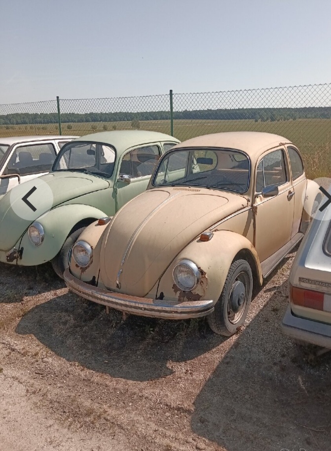 VW Brouk - 3