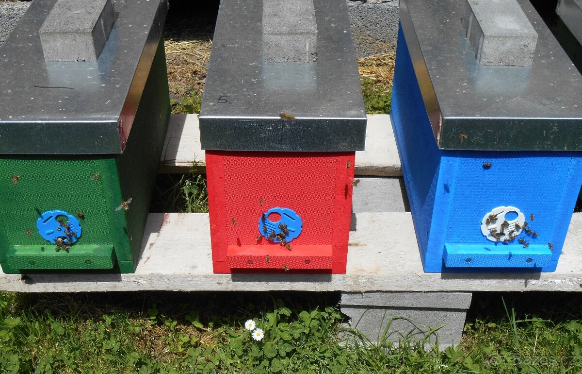 Včelí oddělky - 3