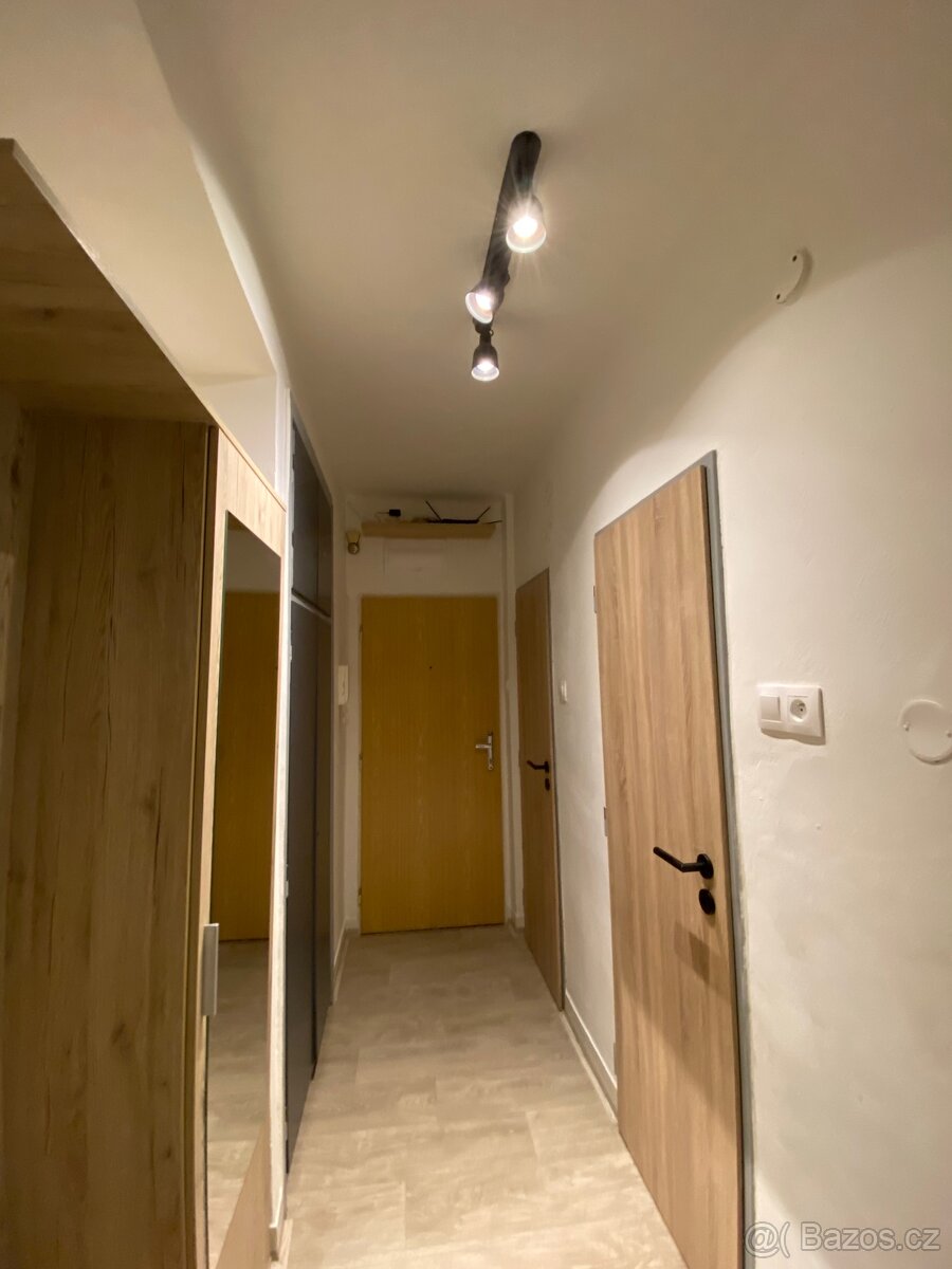 Byt 2+1 blízko centra i přírody - REZERVOVÁNO - 3