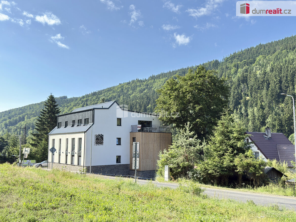 Apartmán 3+KK, 69 m2, balkon 19 m2, Plešivec-Pstruží-Abertam - 3