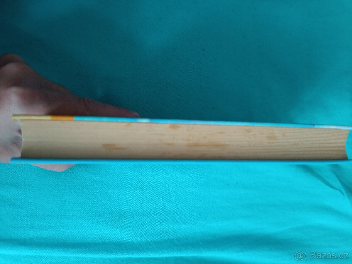 Breviář fantastické holky - 3