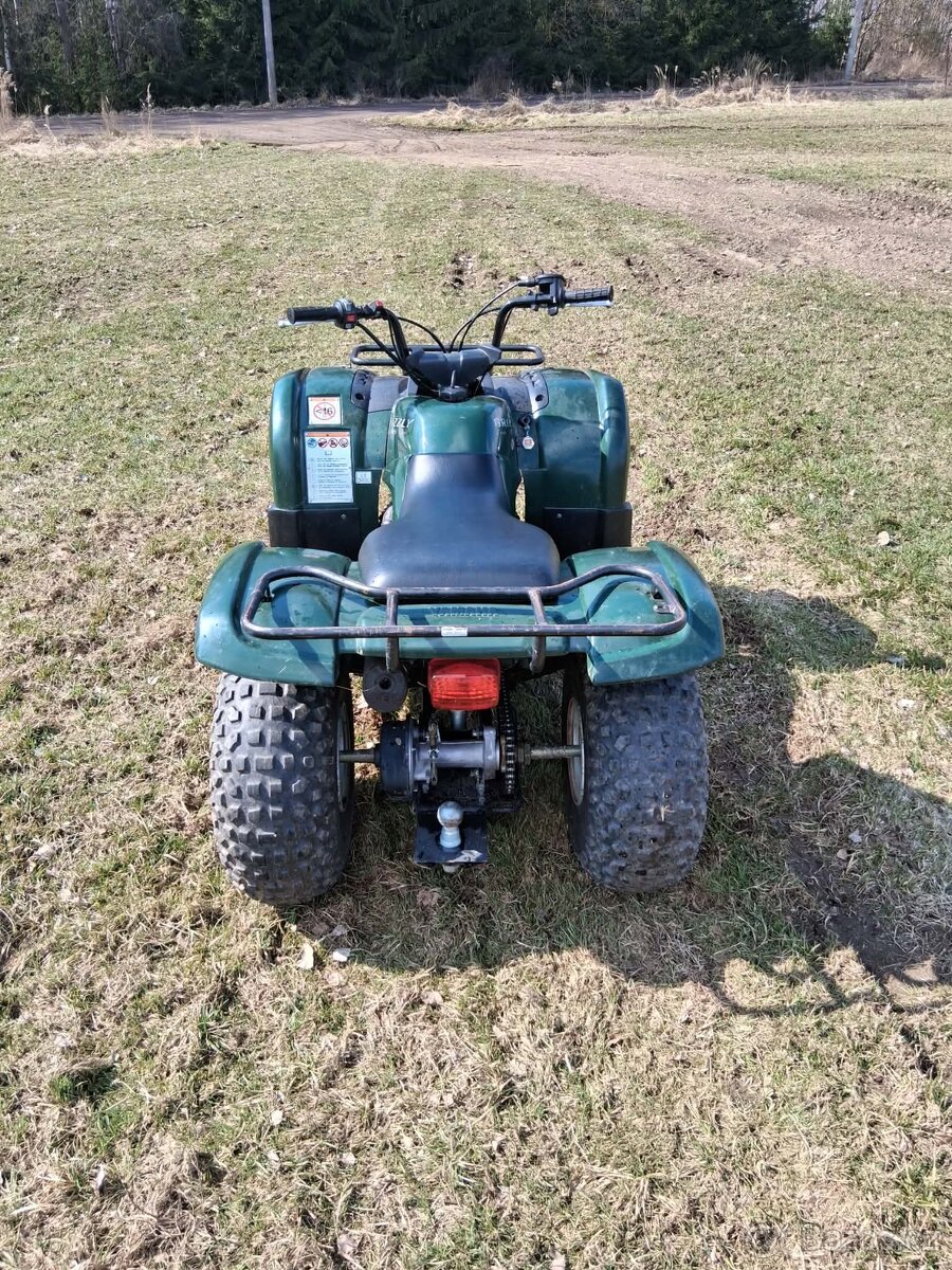 Yamaha Grizzly 125 - 3