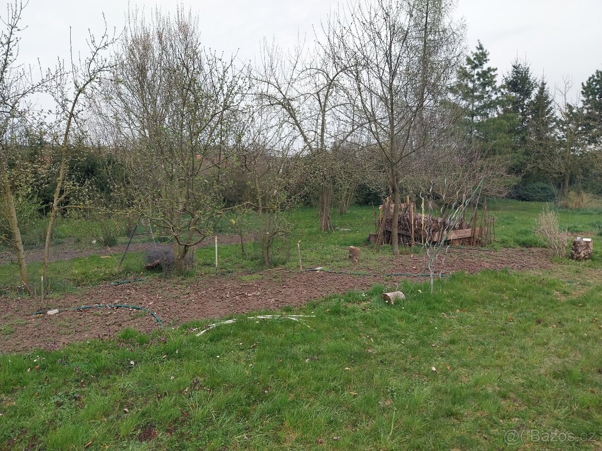 Prodej zahrady - 3