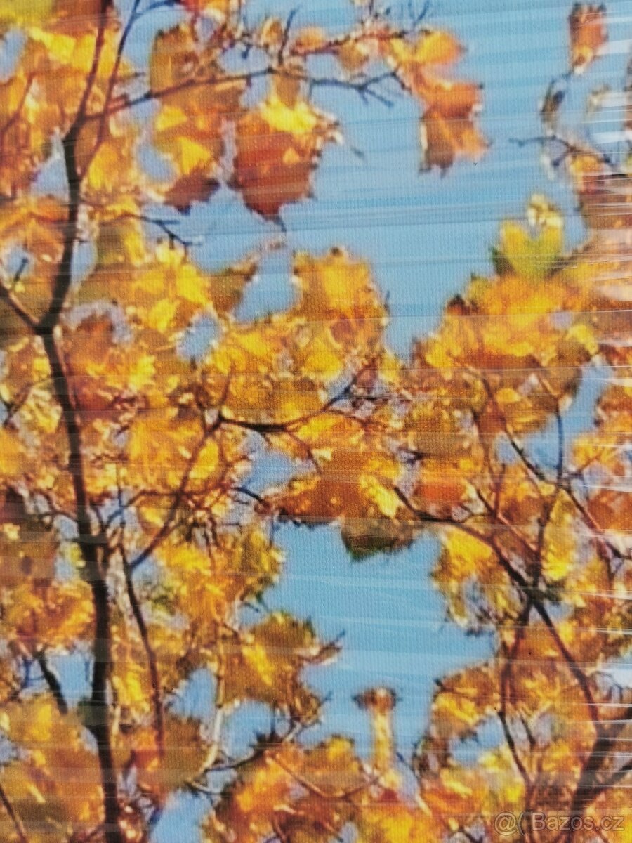 Tisk na plátno, obraz, 70x100 cm - 3