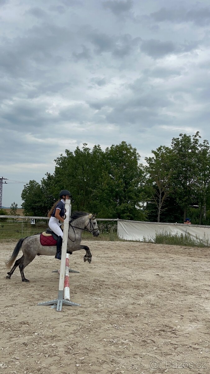 4 letý pony - 3
