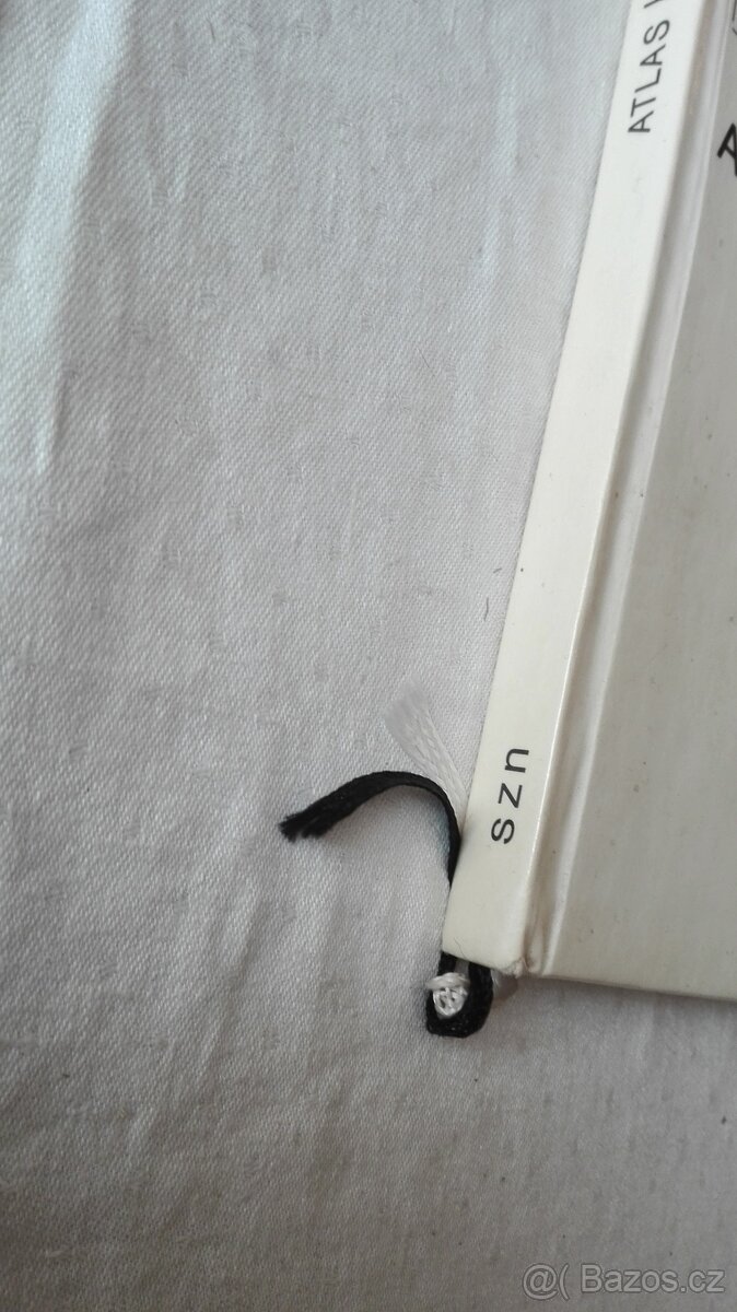 Atlas hmyzích škůdců lesních dřevin - 3