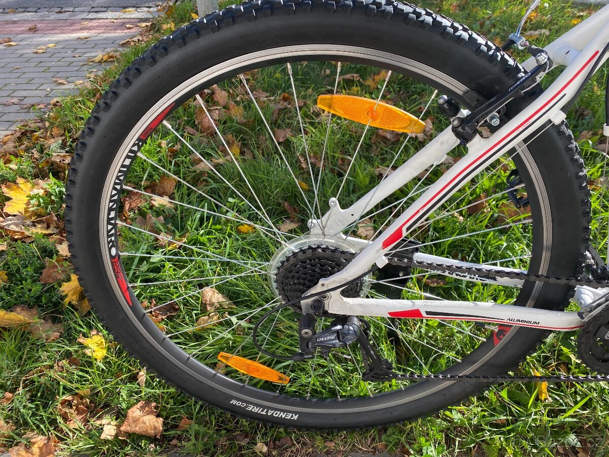 29" horské kolo Kilimanjaro alu rám L 19" - 3