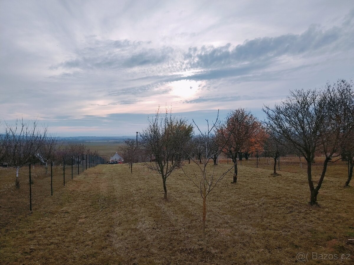 Prodej zahrady u Uherského Hradiště 1297 m2 - 3