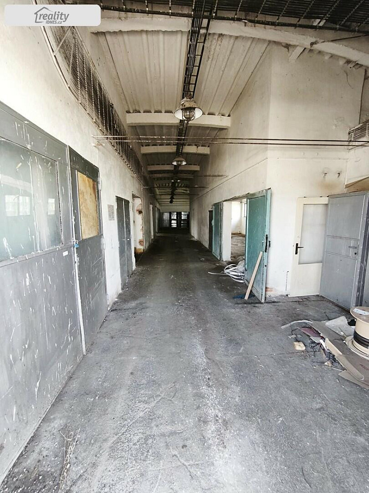 Pronájem, komerční, 233 m, Nádražní, Židlochovice, Česko - 3