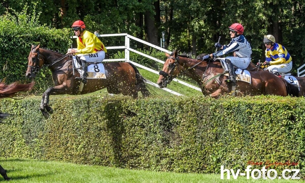 Prodám valacha A1/1 - 3