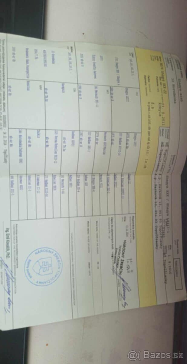 Predám 14rocnu kobylku shagia arab - 3