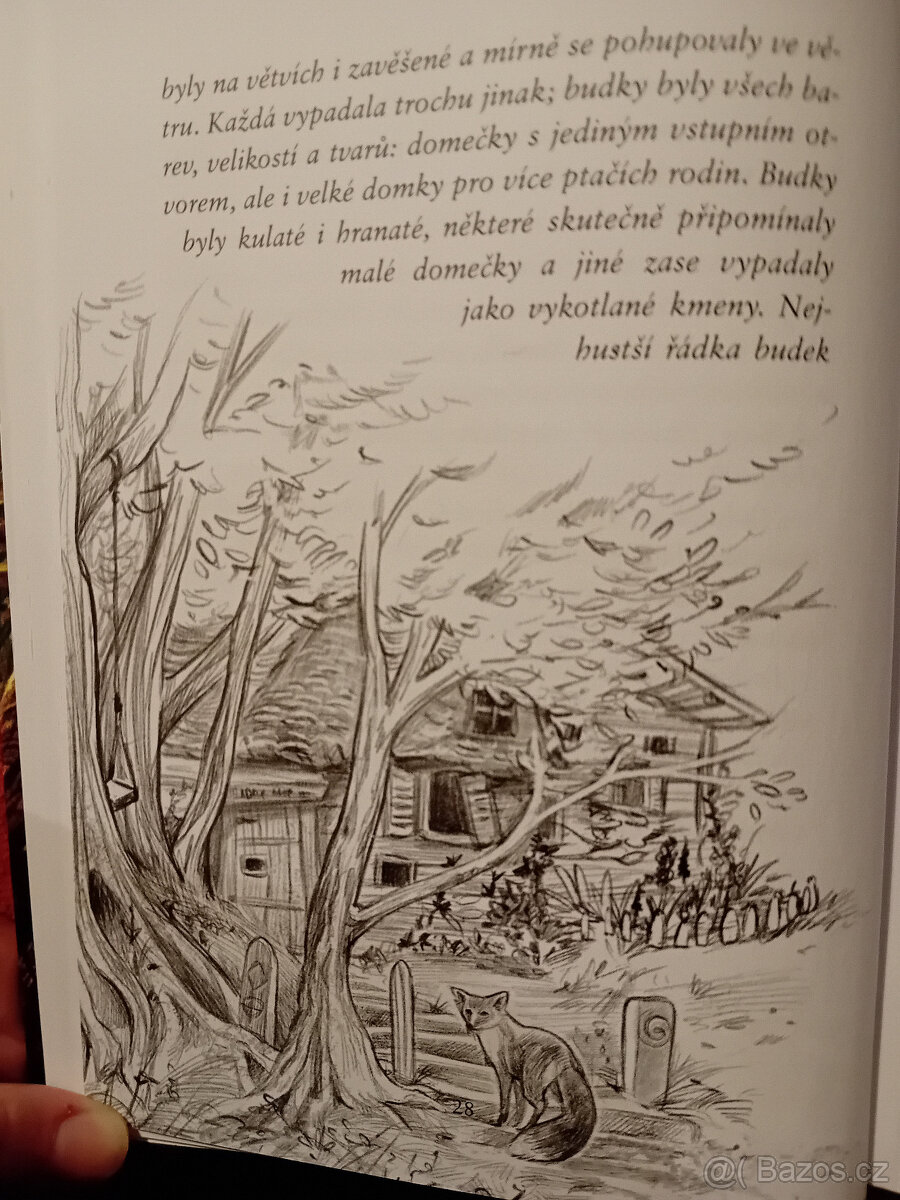 Dívka jménem Willow - 3