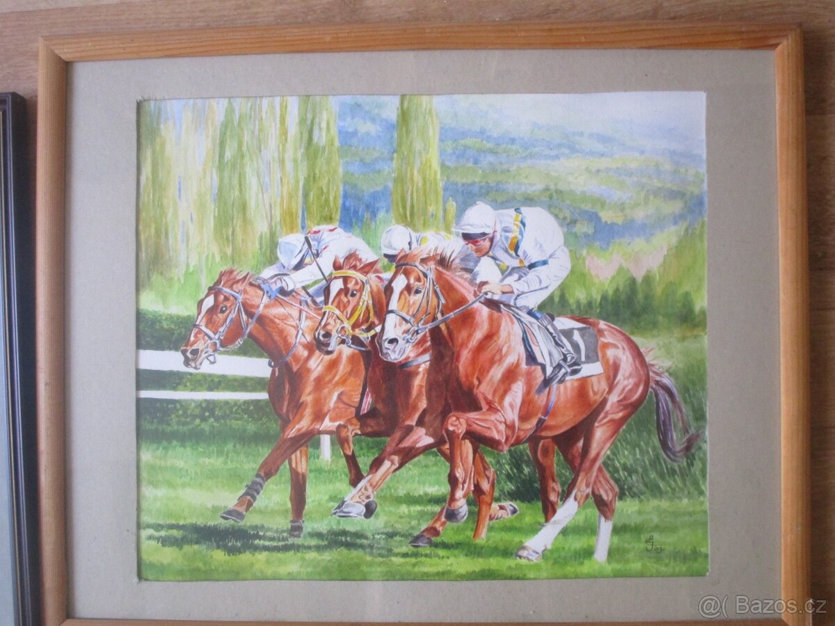 koně-ručně malované obrazy-olejomalba-akvarel - 3