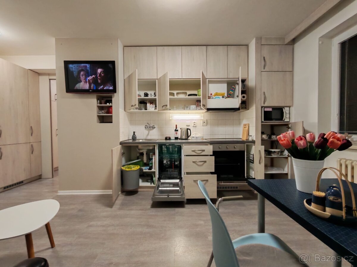 Pronájem bytu 50m2 - 3