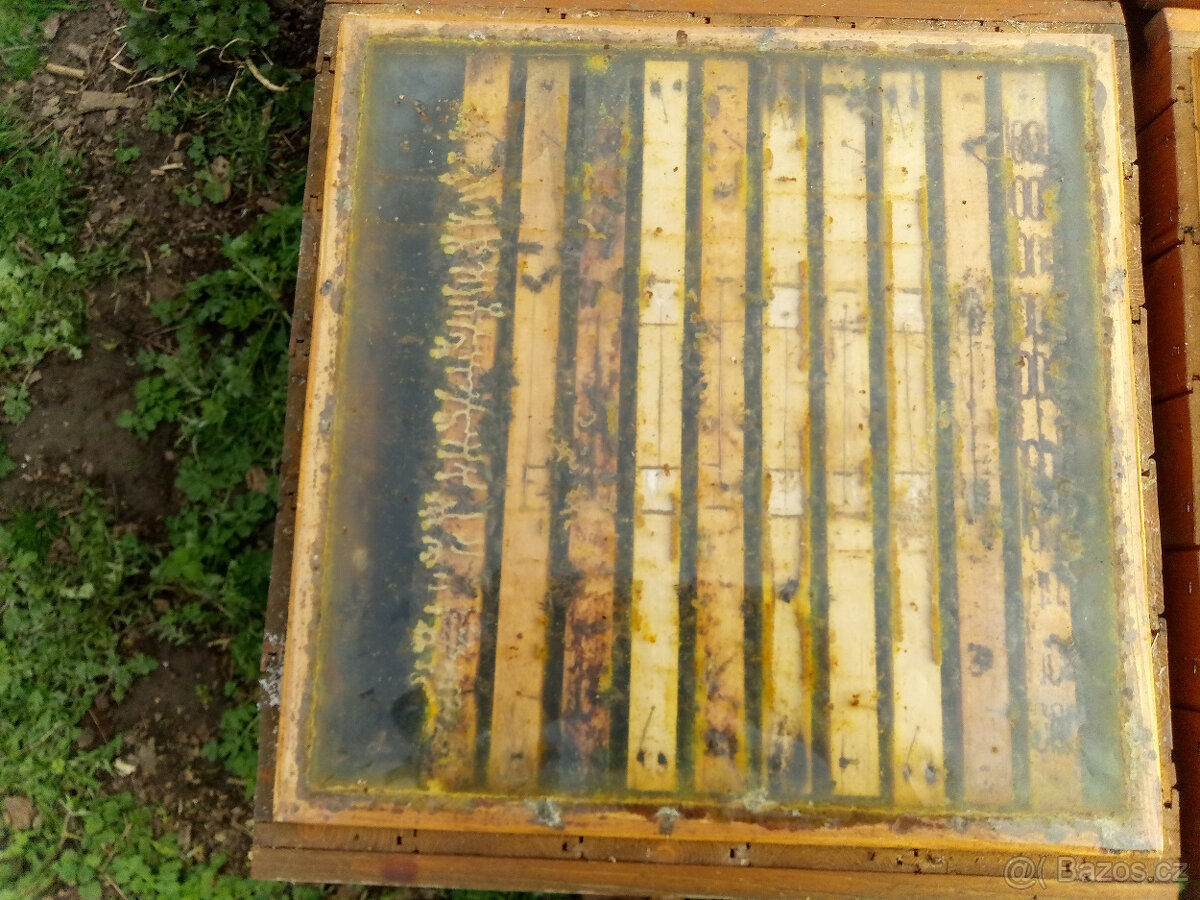 Včelstva,oddělky - 3