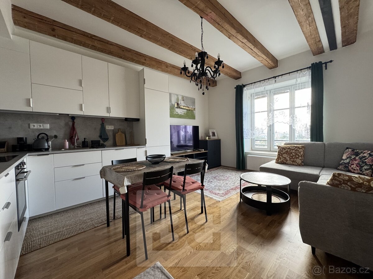 3+kk Apartment in Brno, Veveří - View 3