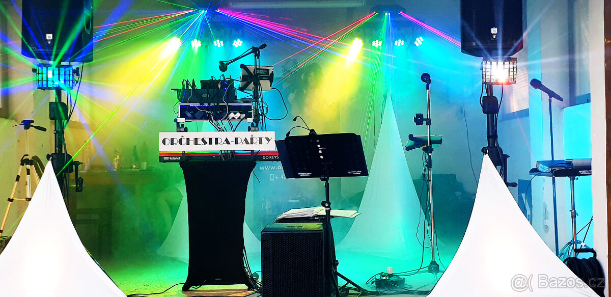 Dj a zpěvačka na svatbu - 3