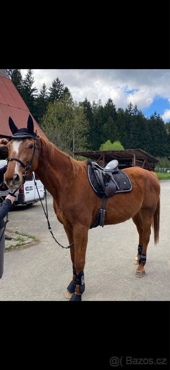 Valach ČT 19 let - 3