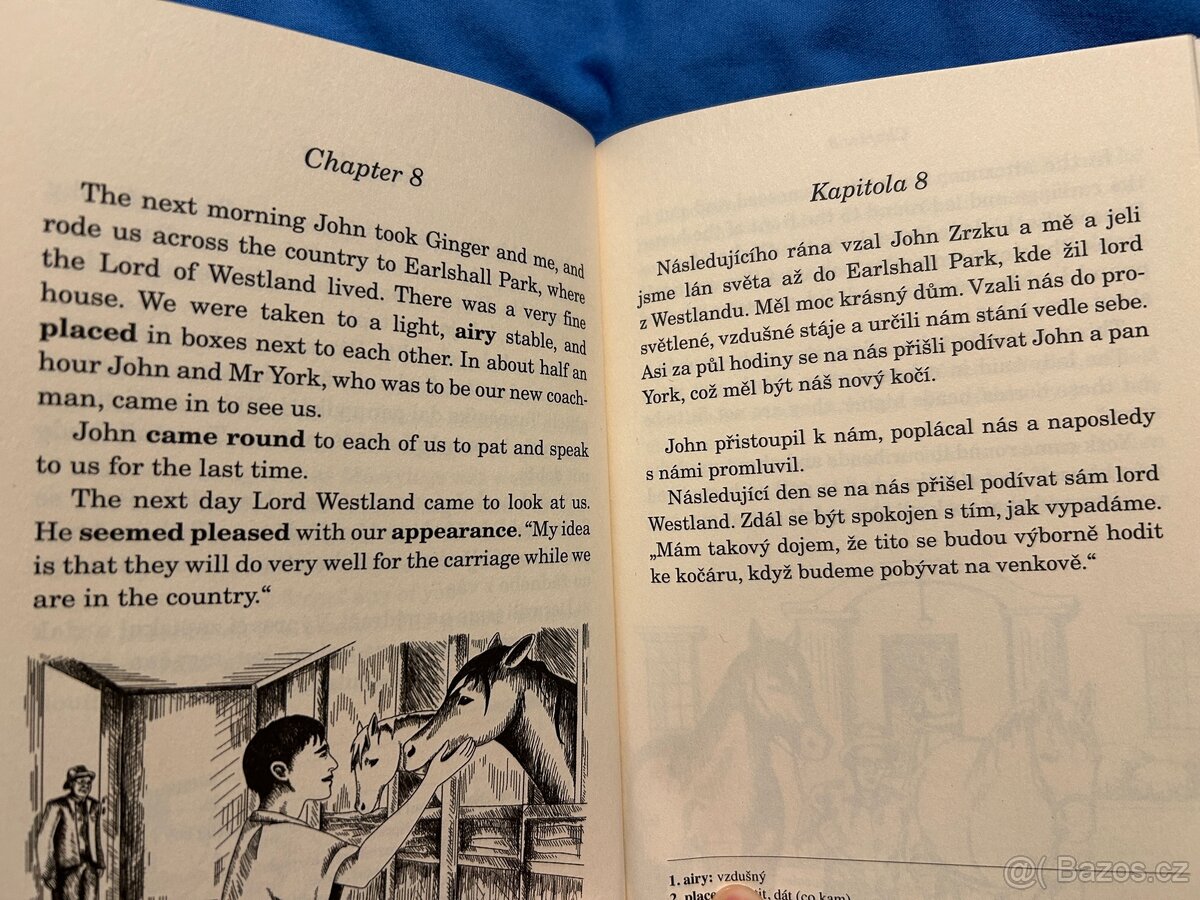 Černý krasavec / Black Beauty Zrcadlová četba - 3