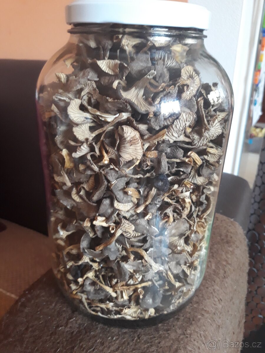 Sušené houby - 3