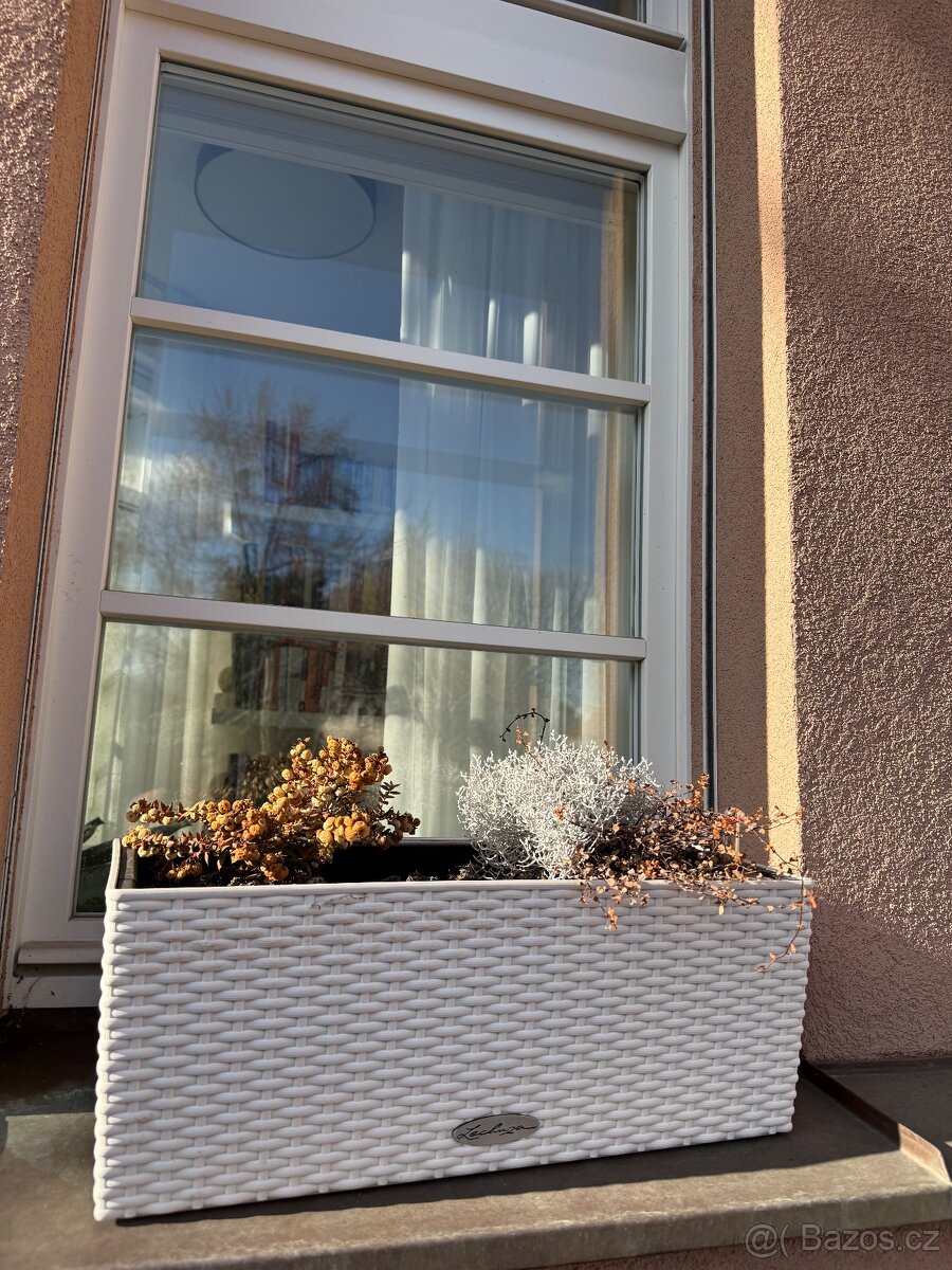 Truhlíky Lechuza Cottage - 3