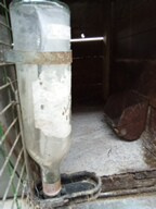 Prodej králikárny - 3