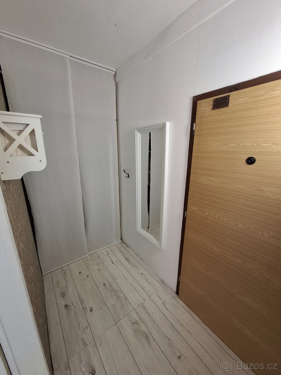 Pronájem 2+0 - 3