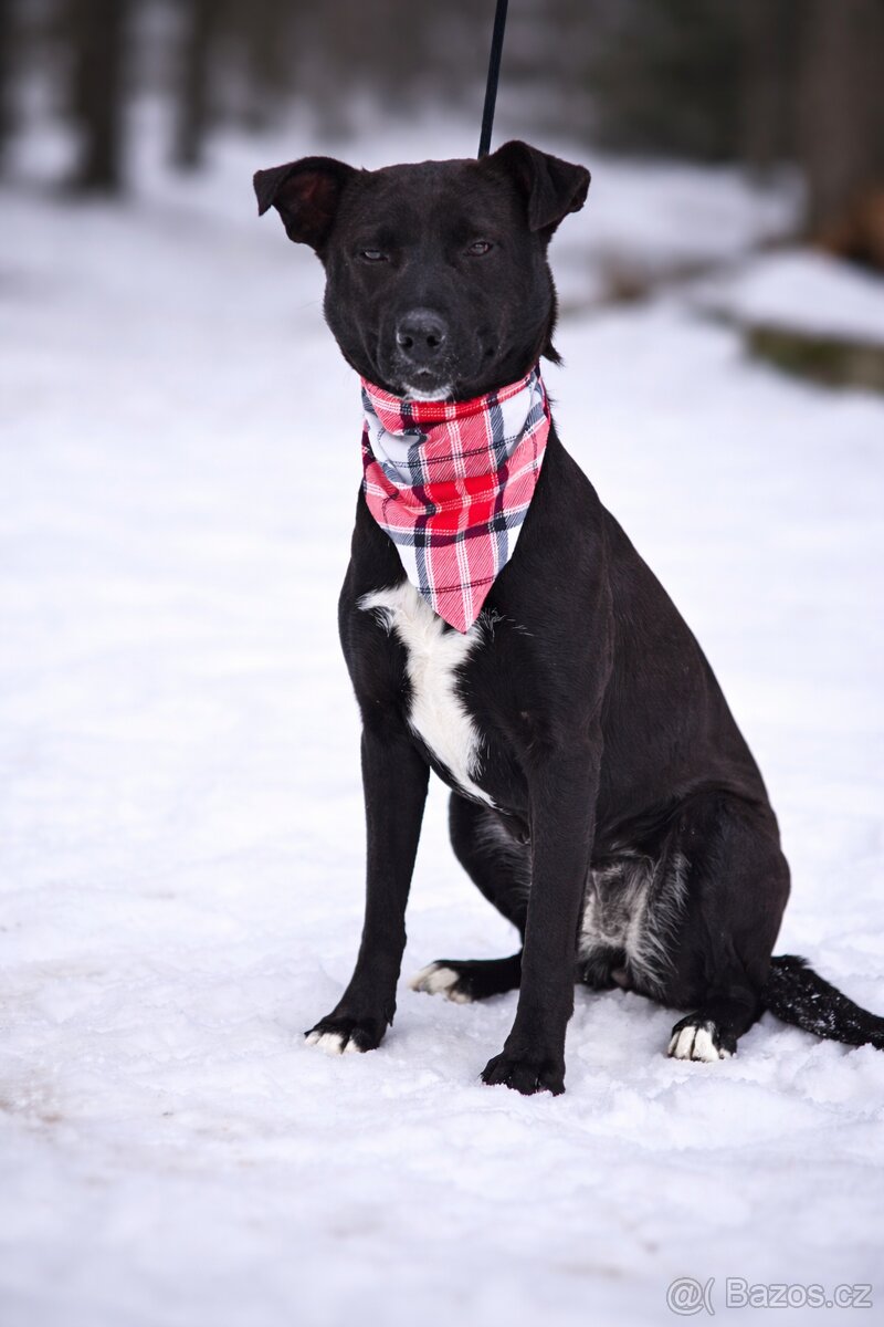 Žanetka hledá domov - 3