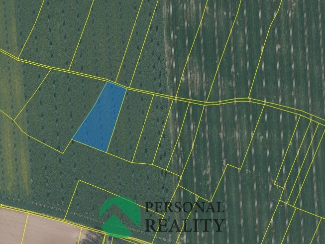 Prodej pole 7 651 m², Čistá, ev.č. 02829 - 3